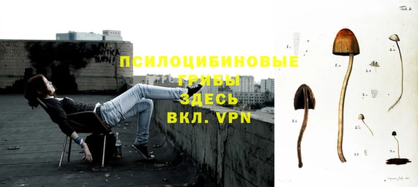 дмт Алексеевка