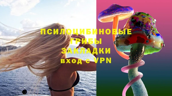 гидра Алзамай